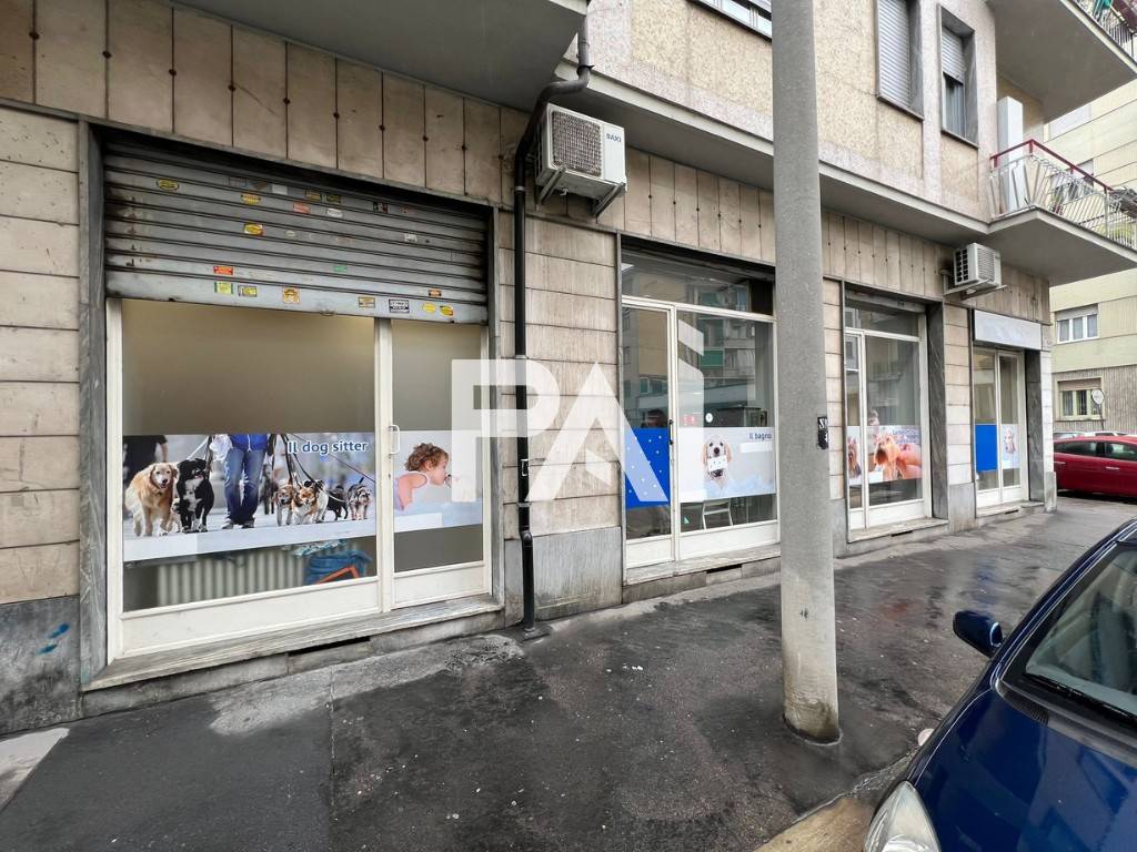 immagine annuncio 11 di 12
