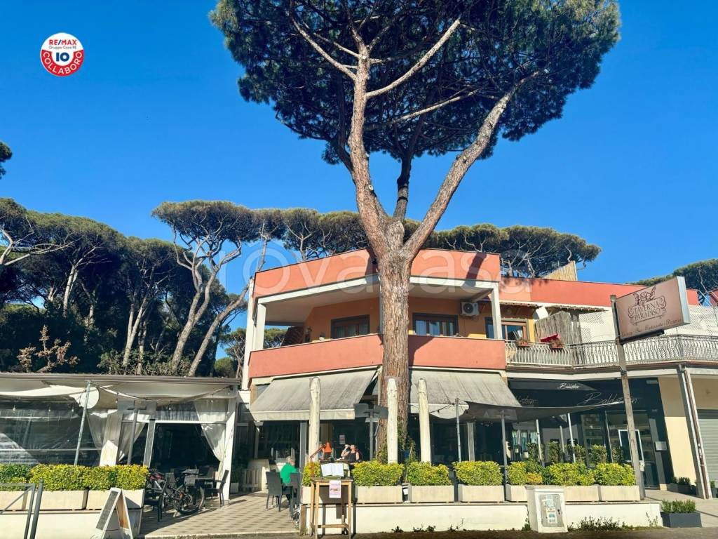 immagine annuncio 12 di 14