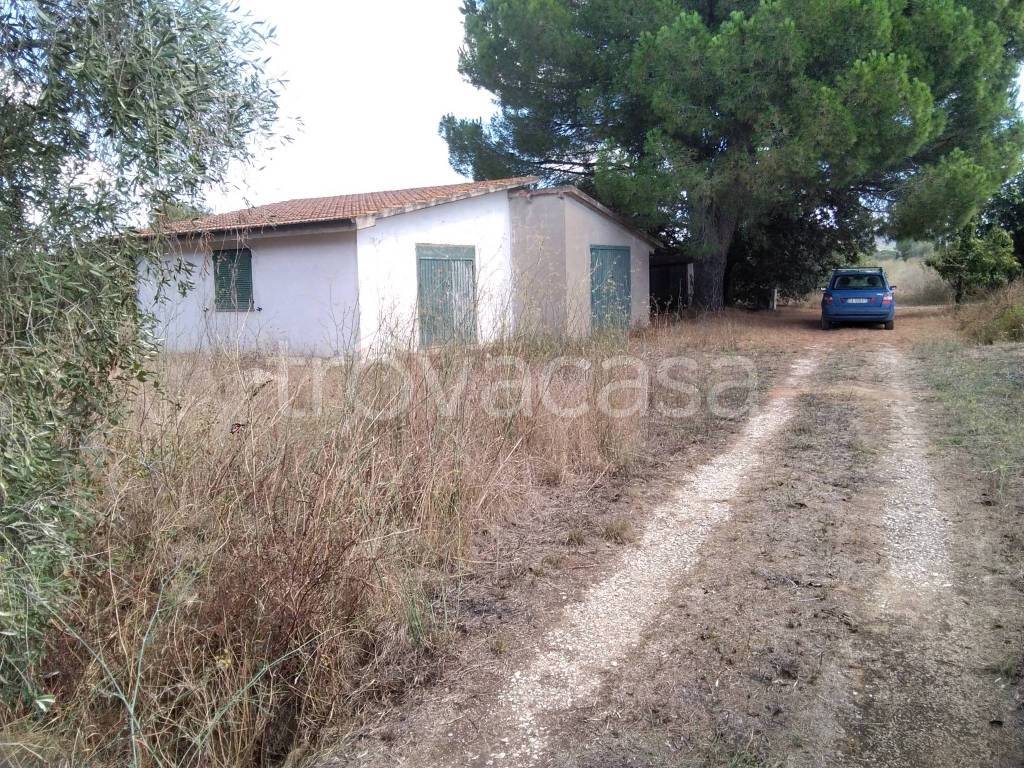 immagine annuncio 2 di 11