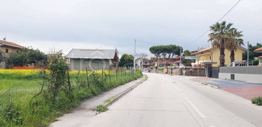 immagine annuncio 11 di 12