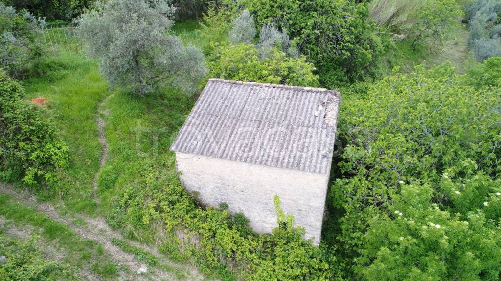 immagine annuncio 5 di 13