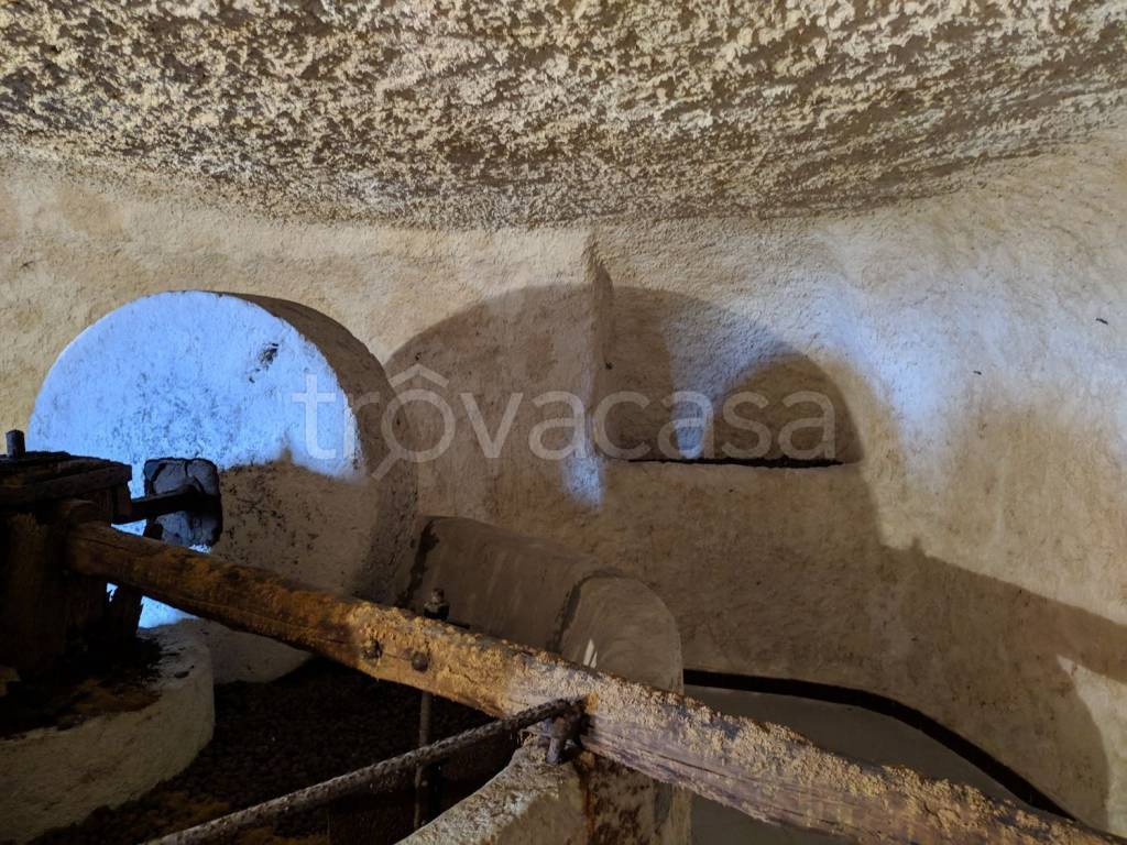 immagine annuncio 1 di 14