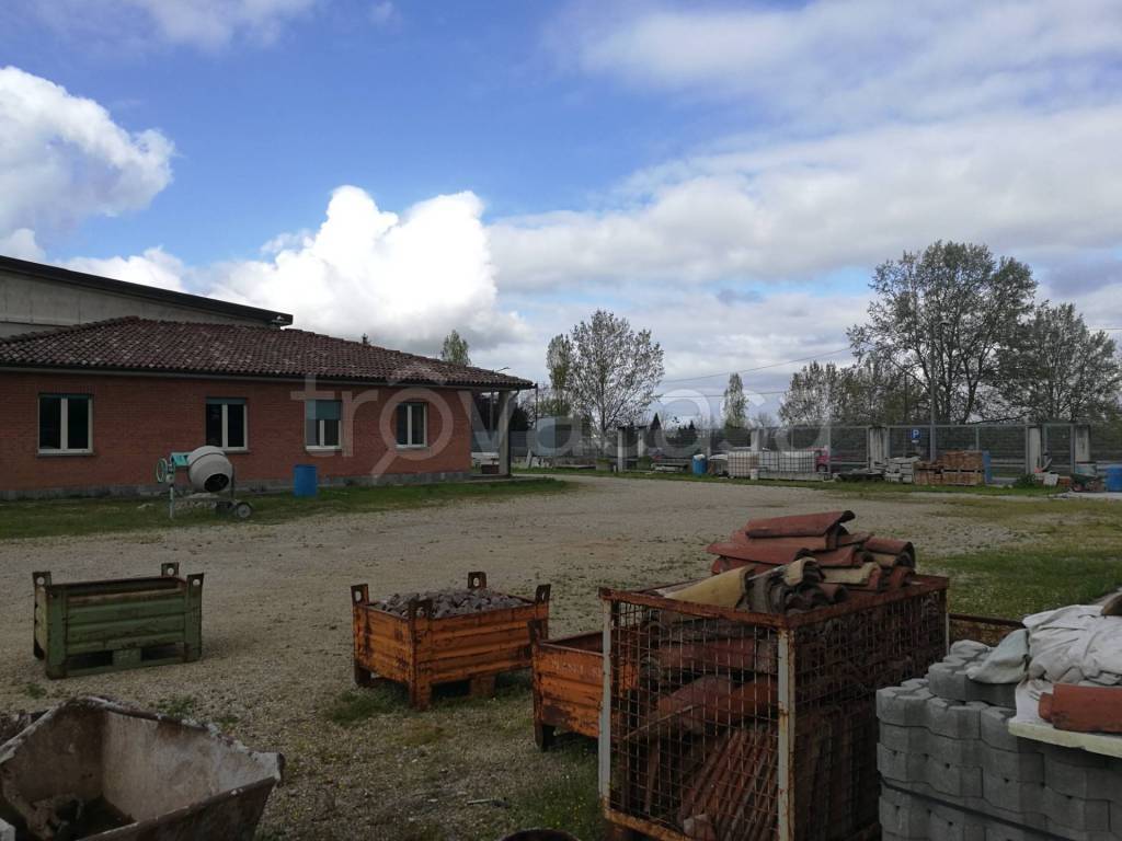 immagine annuncio 11 di 15