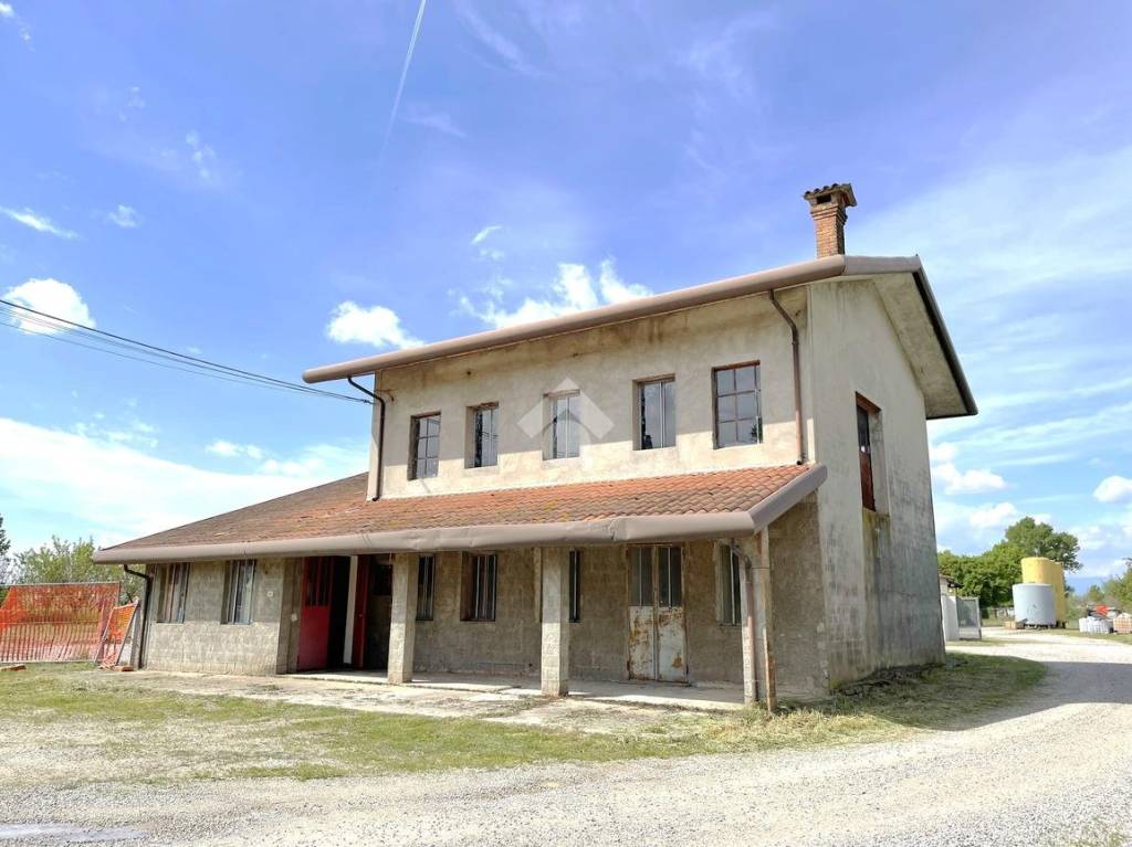 immagine annuncio 12 di 14