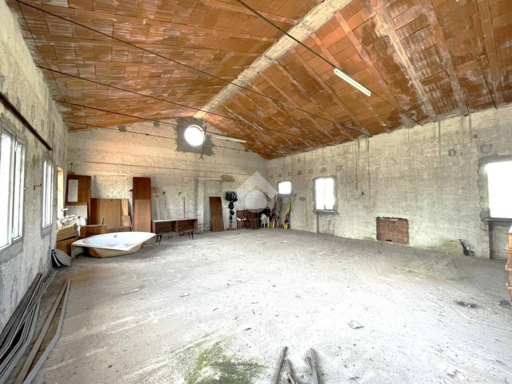 immagine annuncio 4 di 14