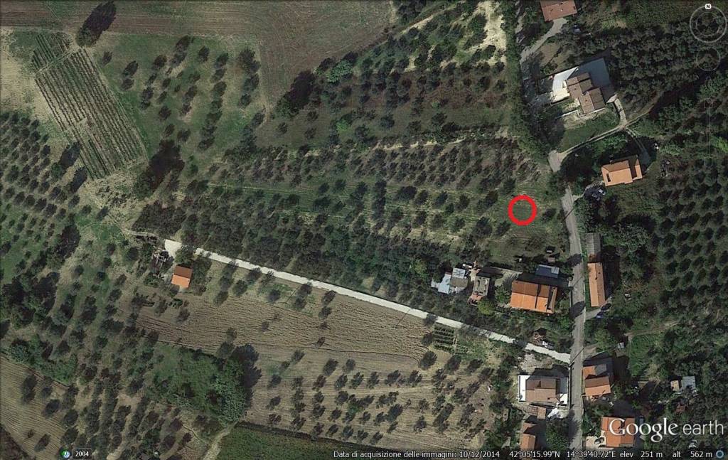 immagine annuncio 4 di 8