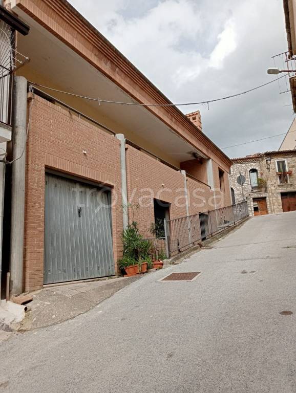 immagine annuncio 1 di 14