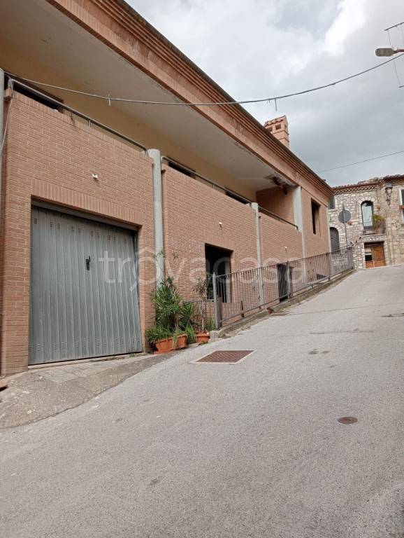 immagine annuncio 2 di 14