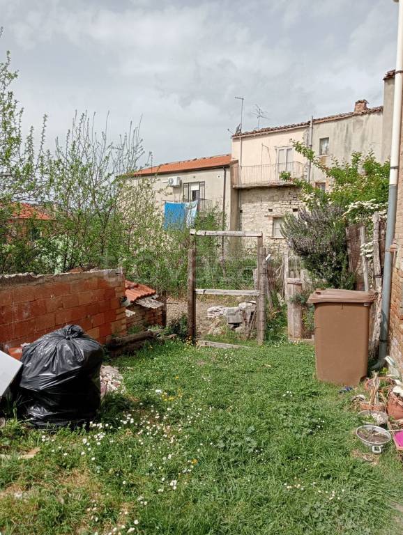 immagine annuncio 12 di 14