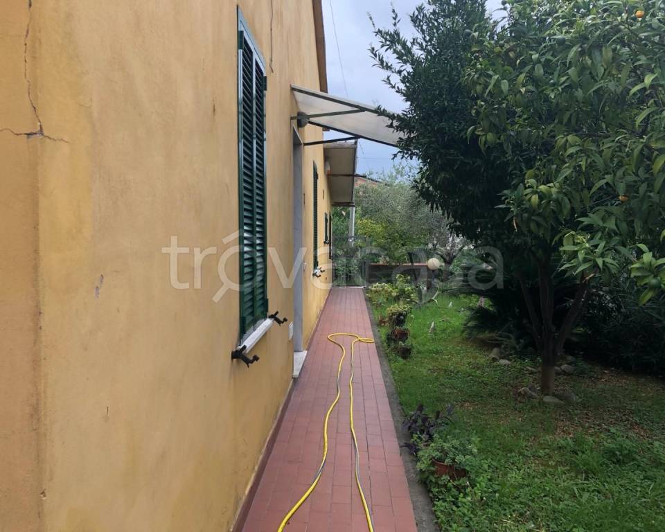 immagine annuncio 1 di 11