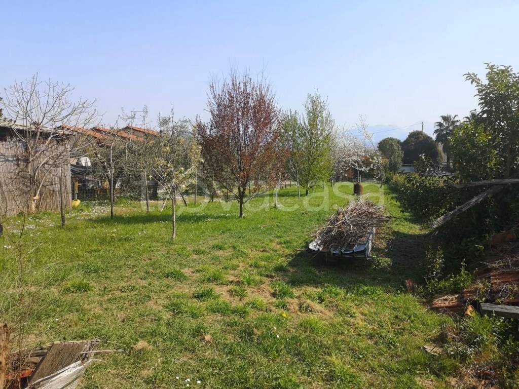 casa indipendente in vendita ad Ameglia in zona Bocca di Magra