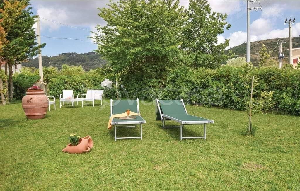 immagine annuncio 11 di 14