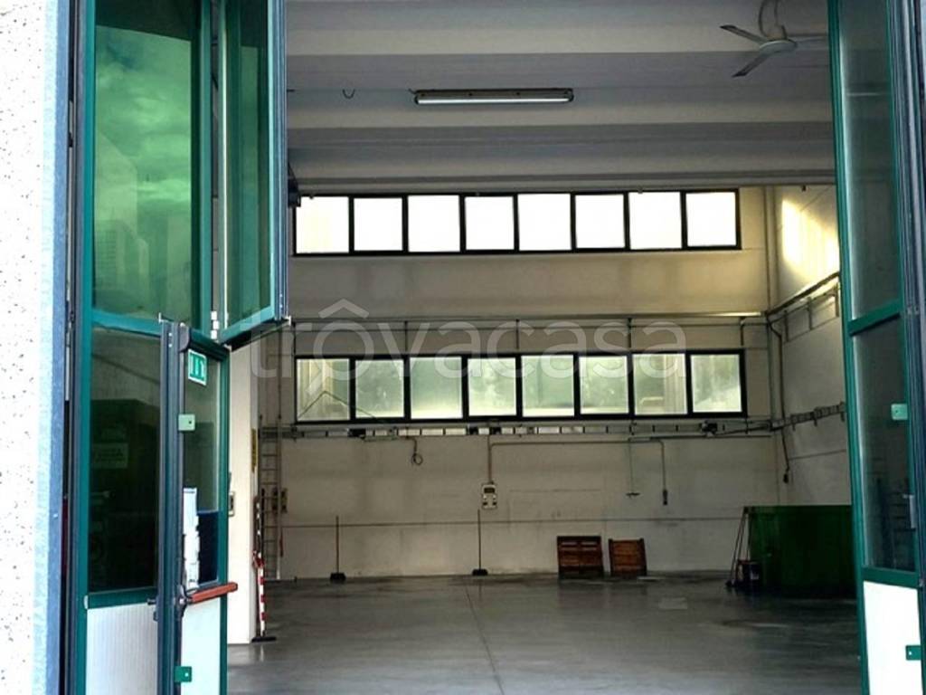 immagine annuncio 4 di 8