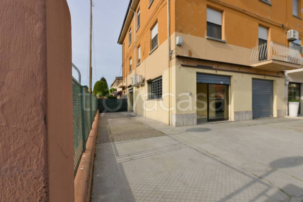 immagine annuncio 10 di 11
