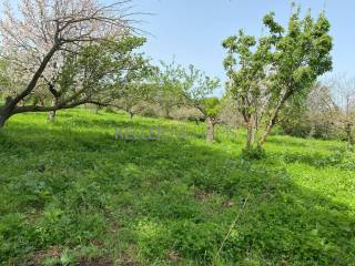 Terreno residenziale in vendita a roma via arpaia