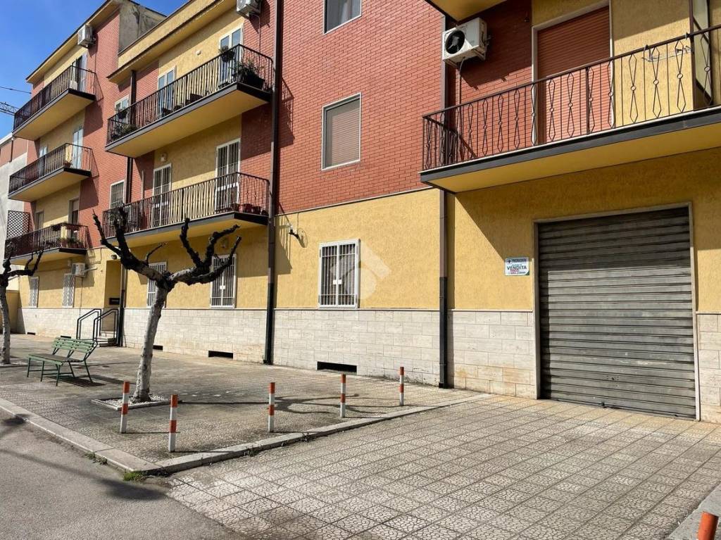 immagine annuncio 3 di 8