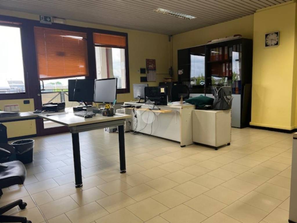 immagine annuncio 4 di 12