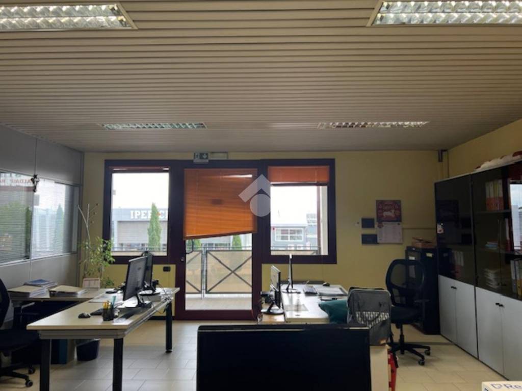 immagine annuncio 9 di 12