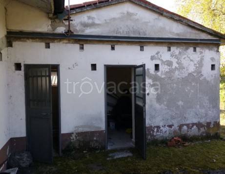immagine annuncio 3 di 6