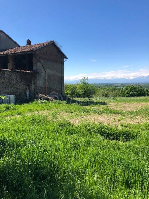 immagine annuncio 10 di 14
