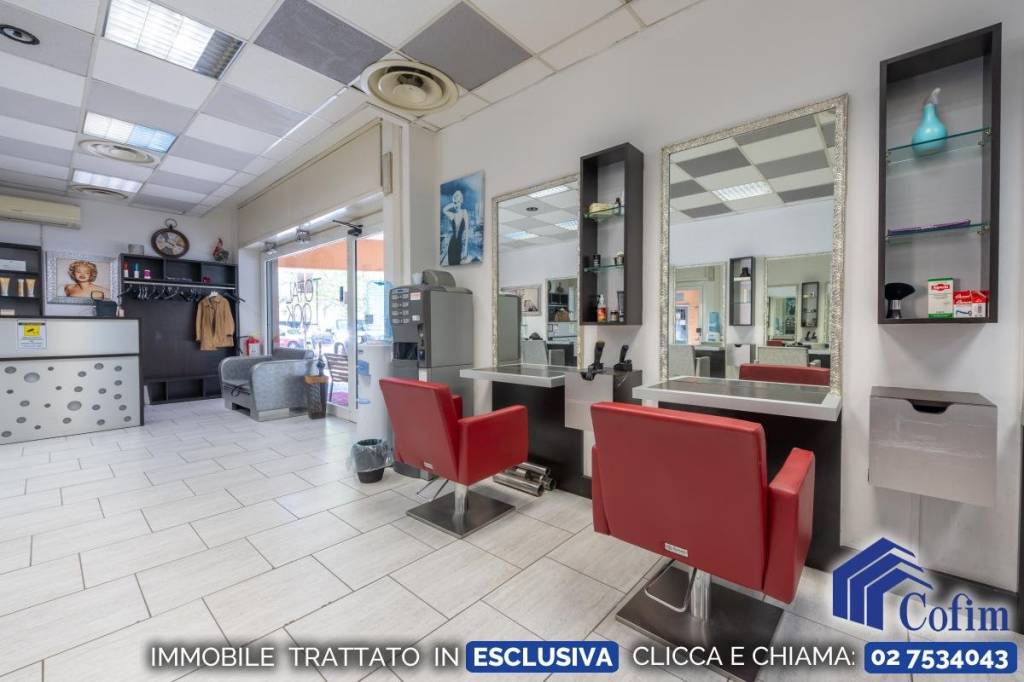 immagine annuncio 5 di 12
