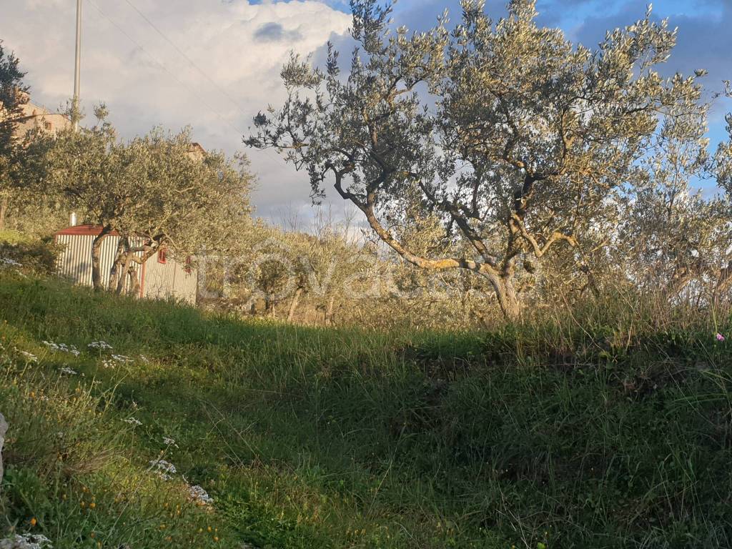immagine annuncio 10 di 11