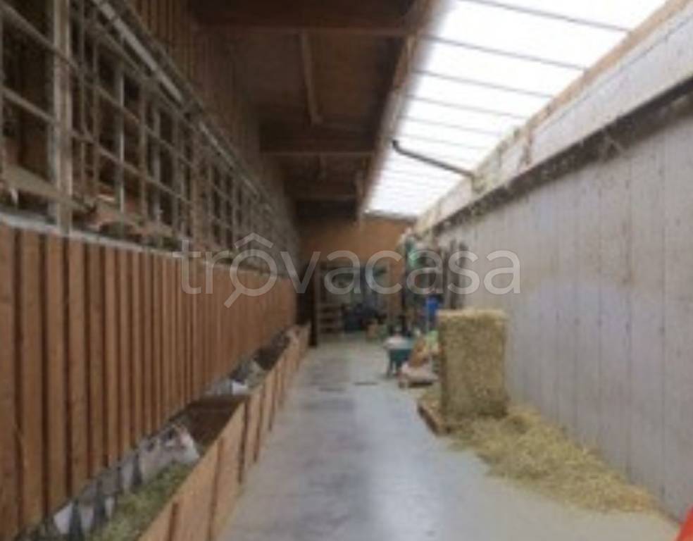 immagine annuncio 4 di 12