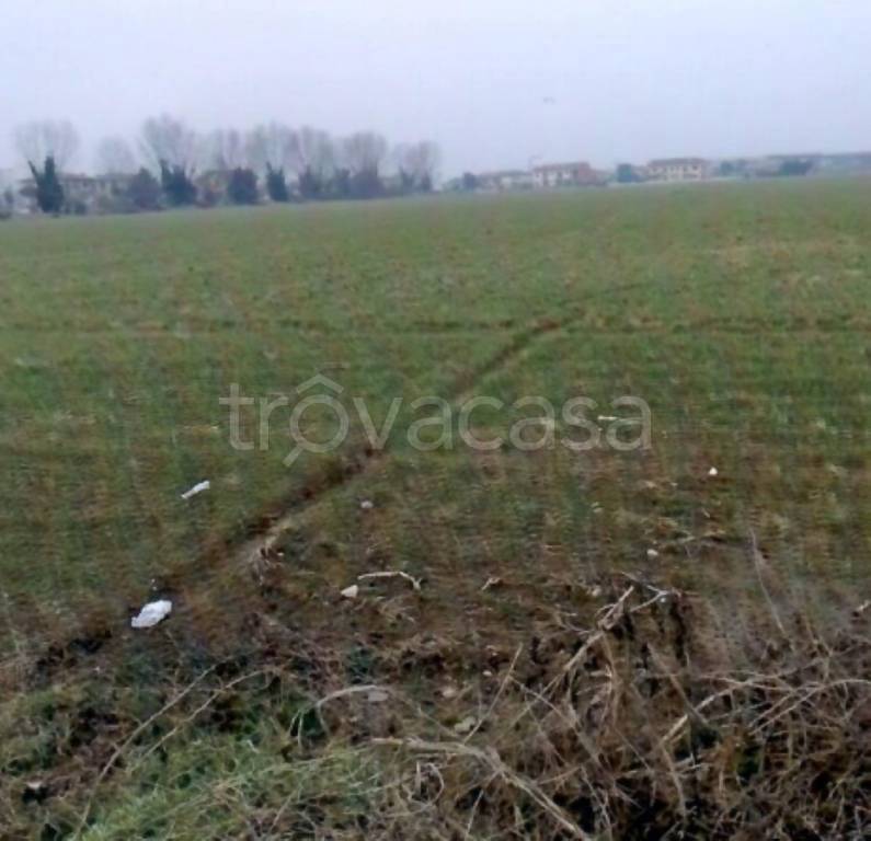immagine annuncio 10 di 13