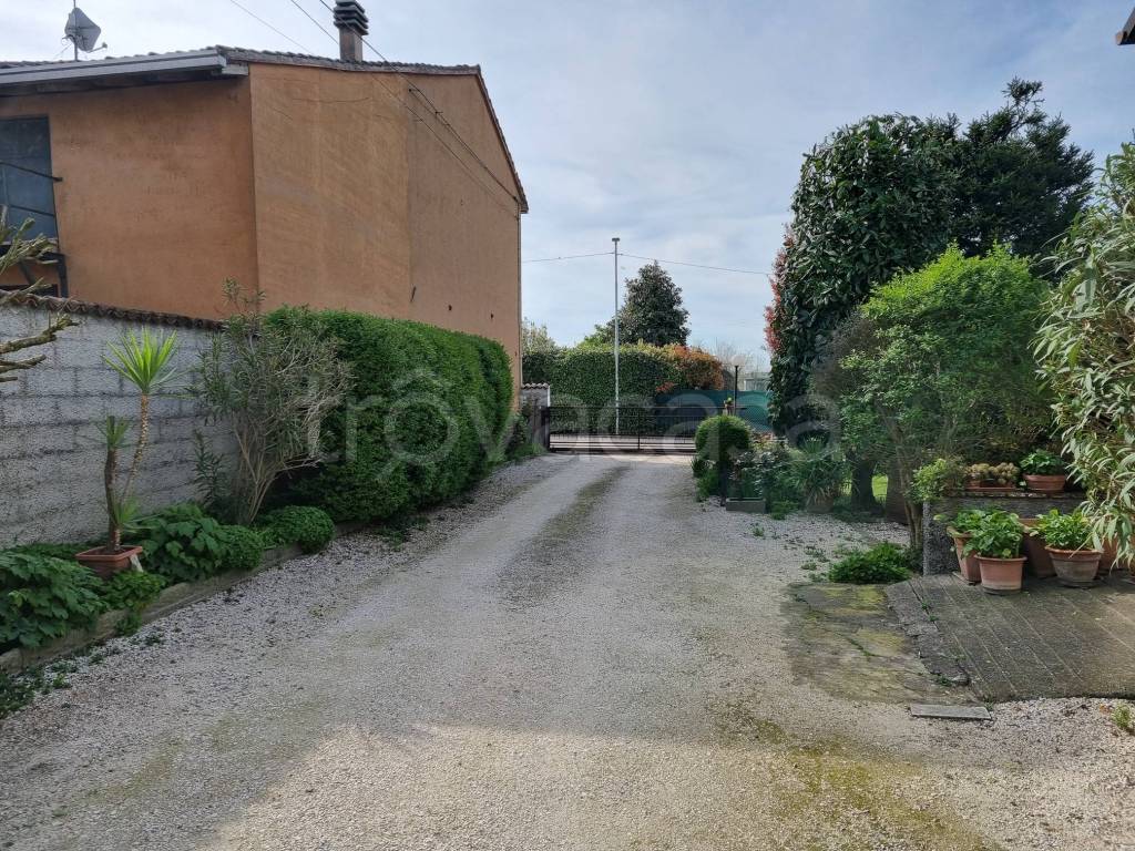 immagine annuncio 6 di 14