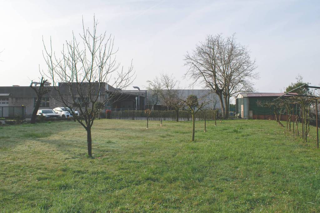 immagine annuncio 5 di 9