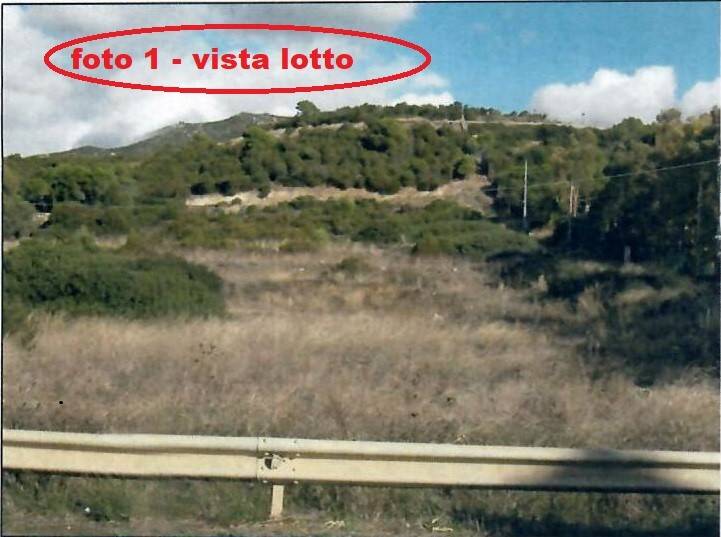 immagine annuncio 3 di 7