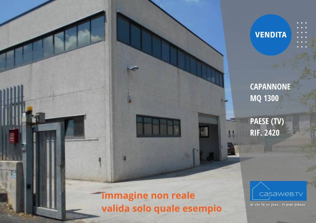 immagine annuncio 2 di 9