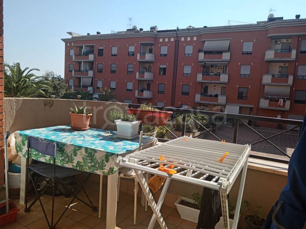 immagine annuncio 12 di 14