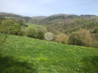 Terreno agricolo in vendita a fiuggi via capo le ripe