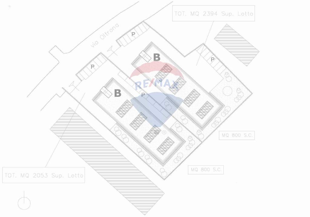 immagine annuncio 5 di 6