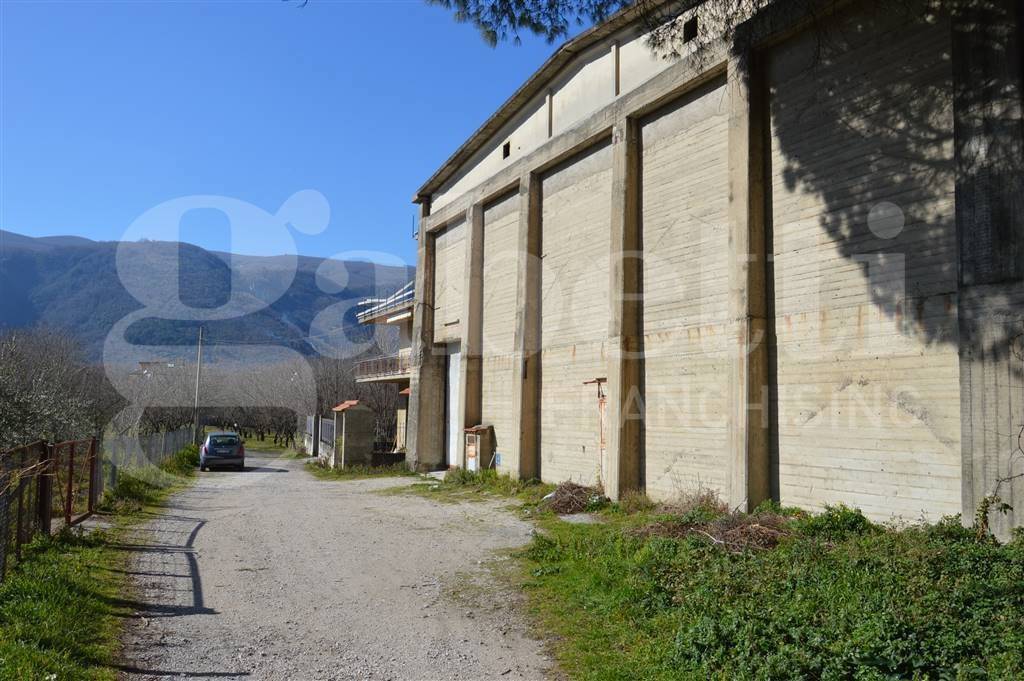 immagine annuncio 1 di 9