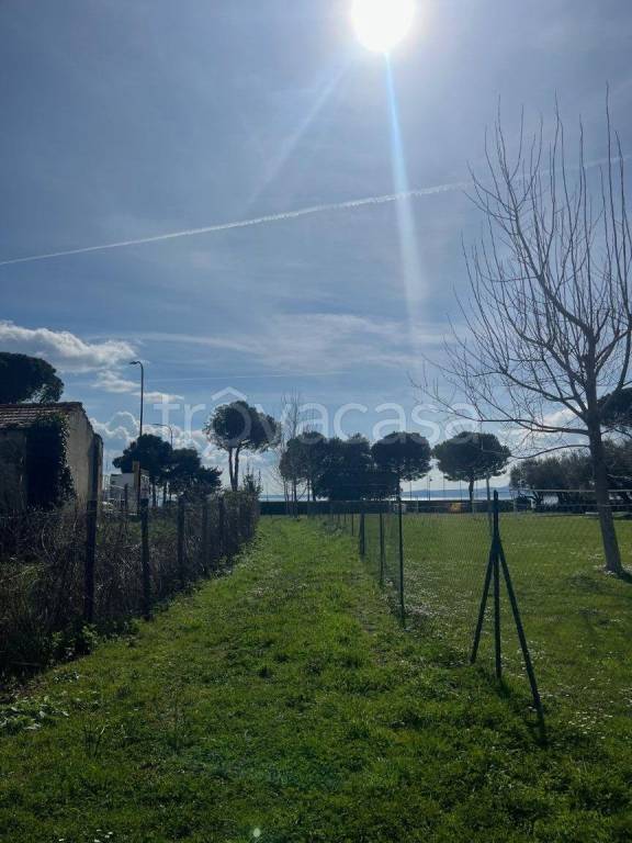 immagine annuncio 5 di 9