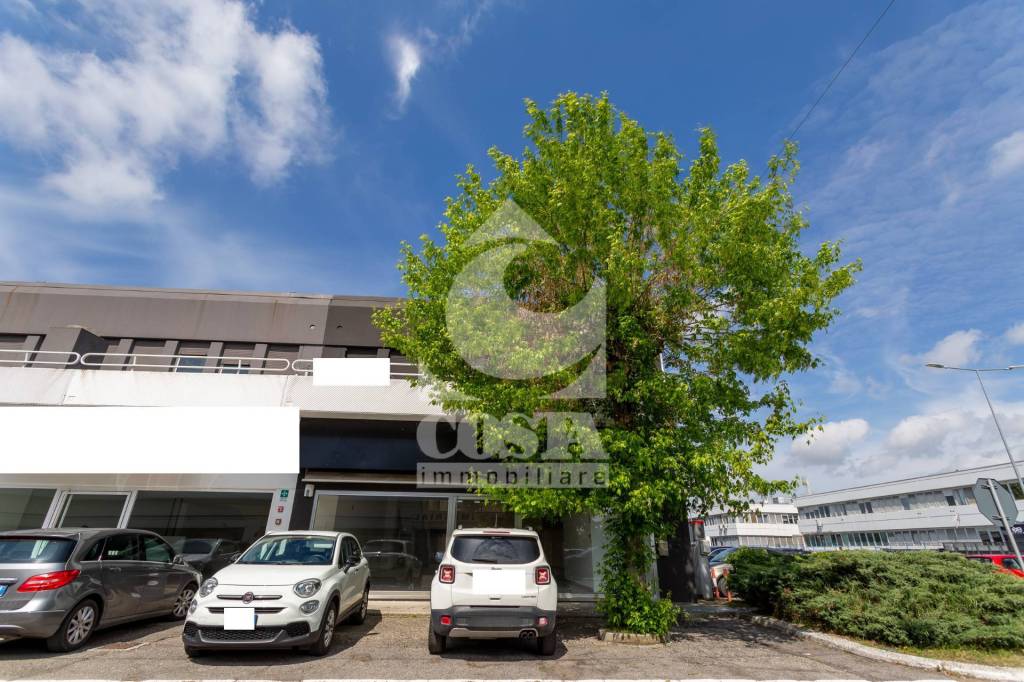 immagine annuncio 3 di 15