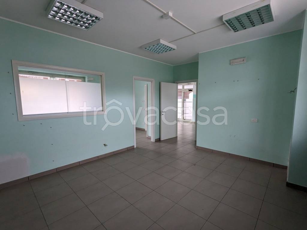 immagine annuncio 4 di 7