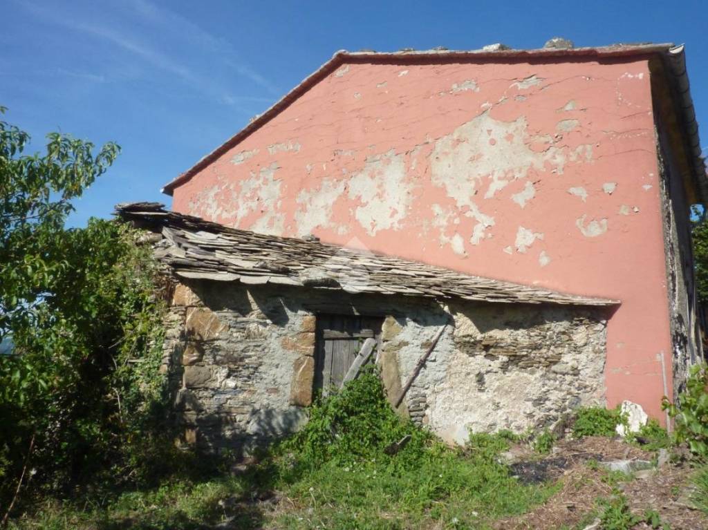 immagine annuncio 4 di 7