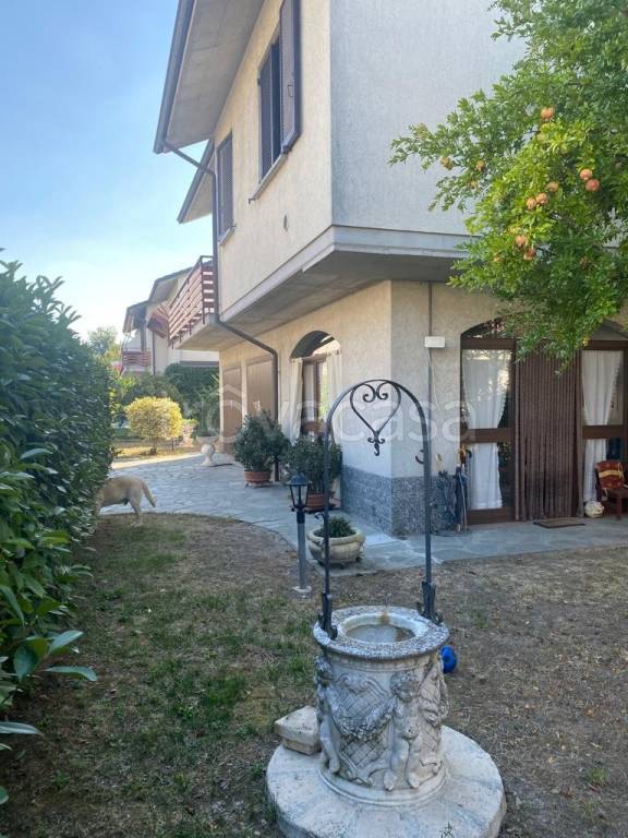 immagine annuncio 2 di 15