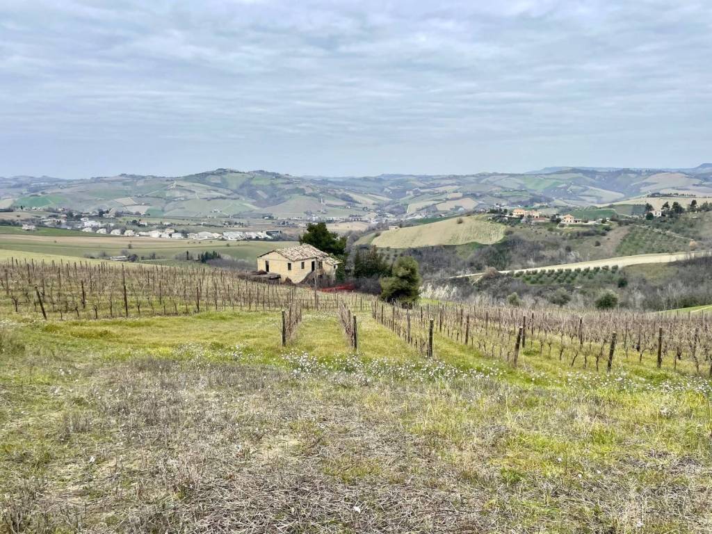 immagine annuncio 7 di 12