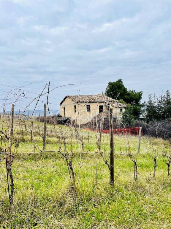 immagine annuncio 8 di 12