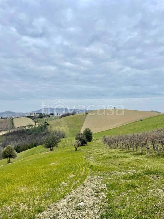 immagine annuncio 10 di 12