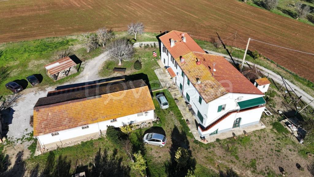 immagine annuncio 7 di 14