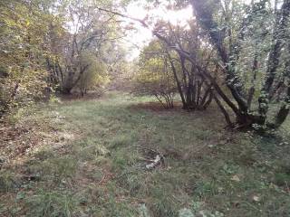 Terreno agricolo in affitto a trieste località villa opicina