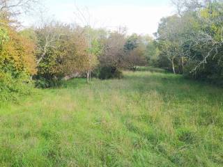 Terreno agricolo in affitto a trieste via di prosecco