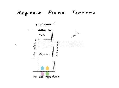 immagine annuncio 6 di 7