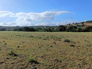 Terreno agricolo in vendita a olbia strada statale per sassari