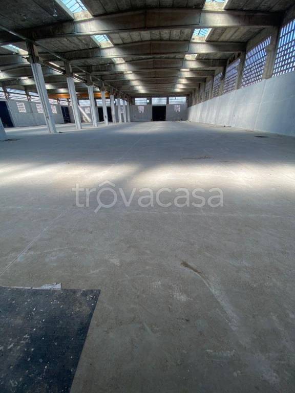 immagine annuncio 9 di 14